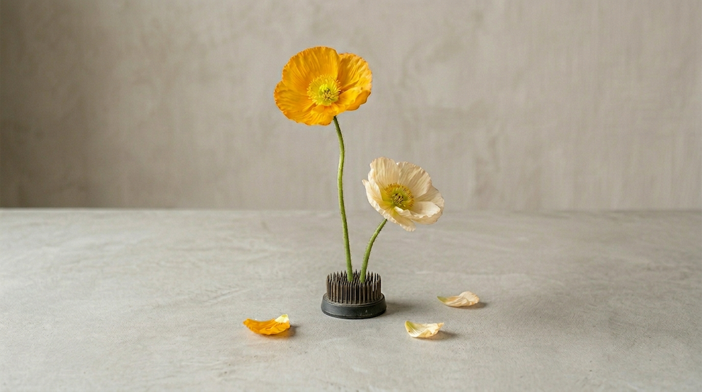 What is a Flower Frog? The Floristry Tool You Didn't Know You Needed