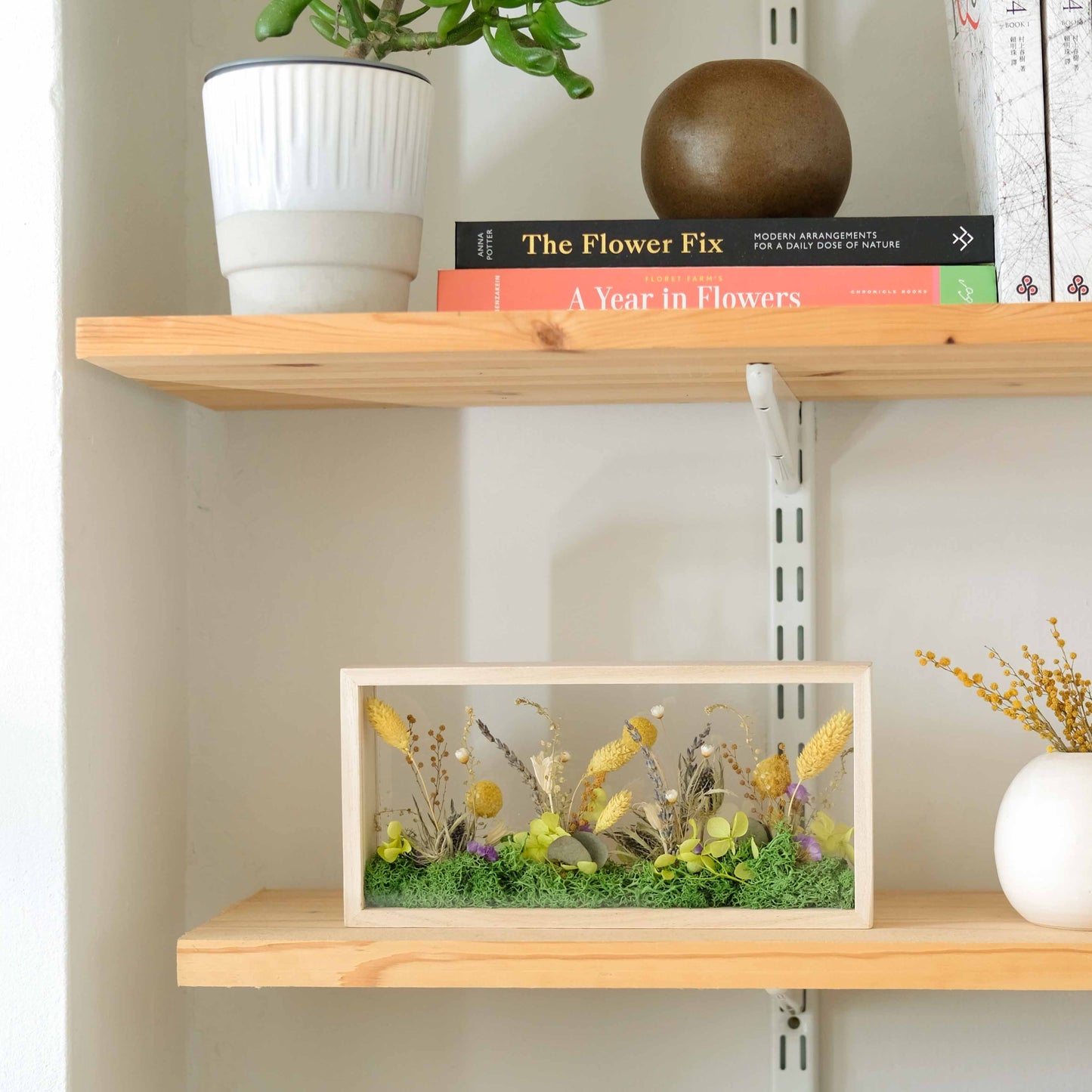 Brelora-Dried-Flower-wooden-frame-Shadow-Box-Ornament