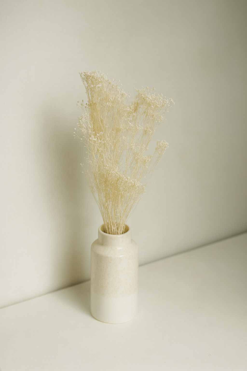 Dried-Broom-Bloom-Bunch-White-Colour