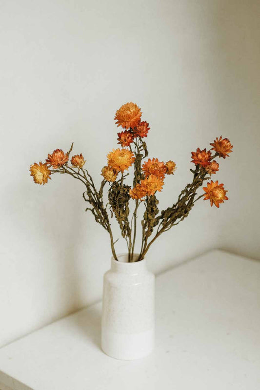 Dried-Helichrysum-Bunch-Orange-Colour