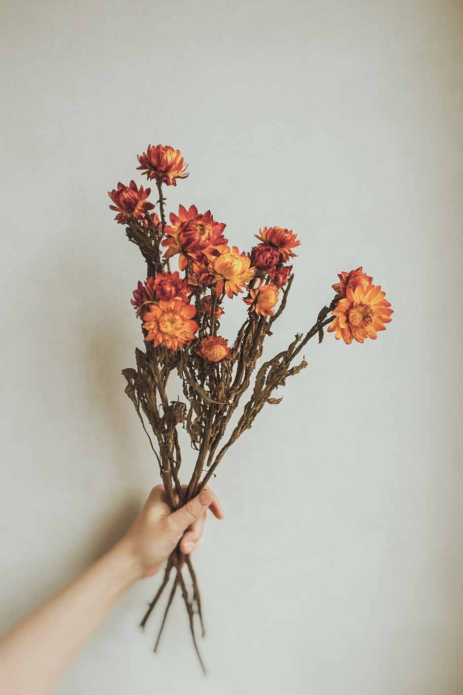 Dried-Helichrysum-Bunch-Orange-Colour