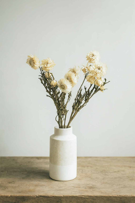 Dried-Helichrysum-Bunch-White-Colour