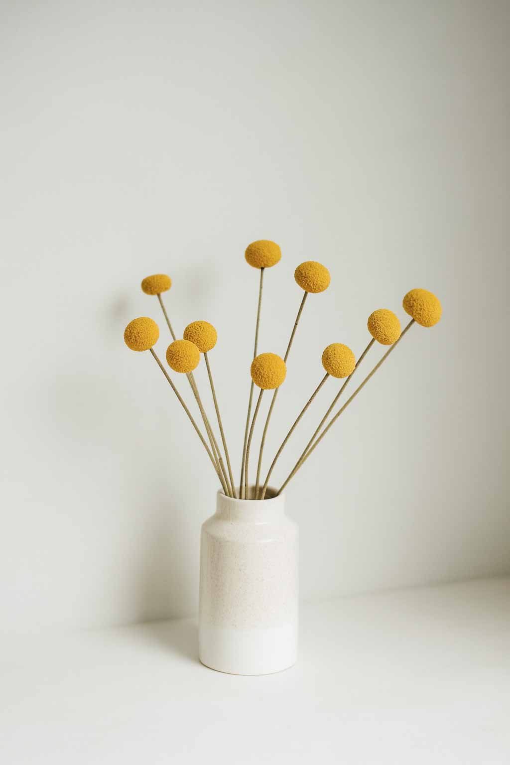 Dried-Billy-Button-Craspedia-Bunch