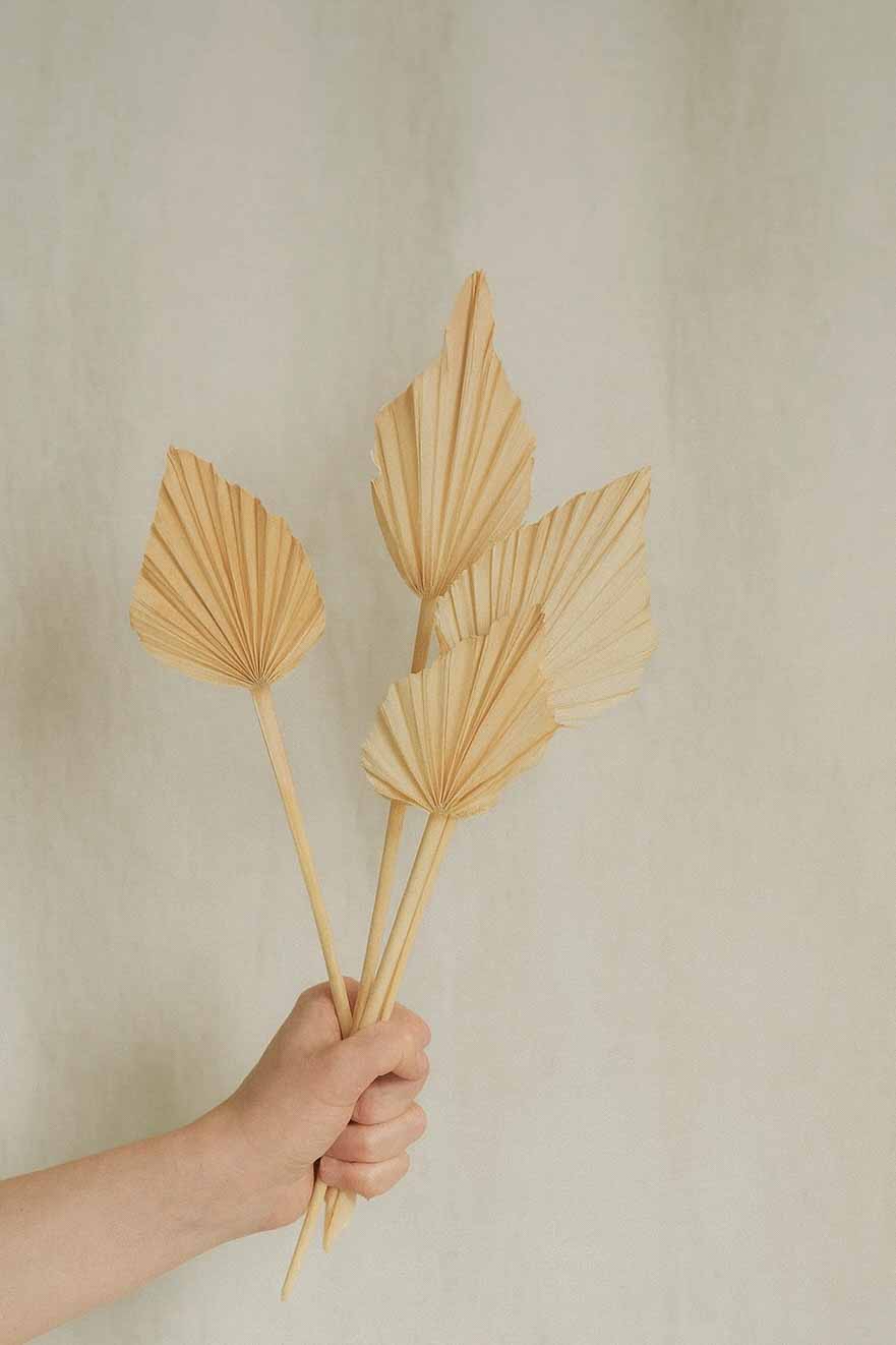 Dried-Palm-Spear